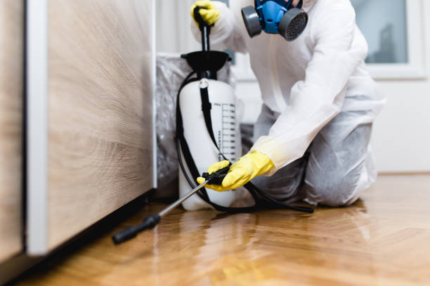 Best Affordable Pest Control Services  in Hanford, CA