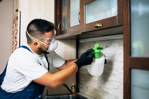 Best Flea Control Services  in Hanford, CA