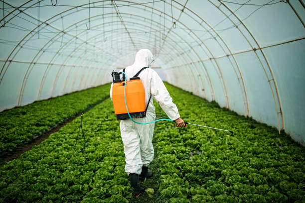 Best Best Pest Control Companies  in Hanford, CA