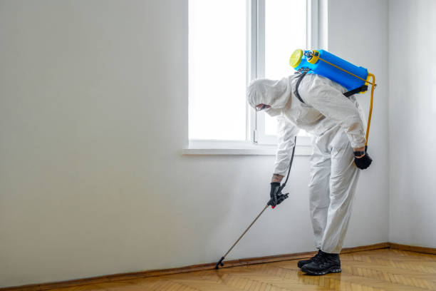 Best Affordable Pest Control Services  in Hanford, CA