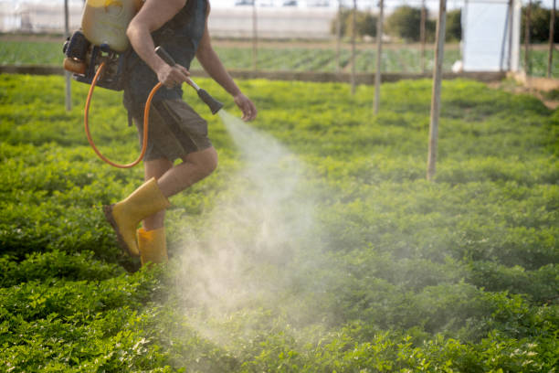 Hanford, CA Pest Control Company