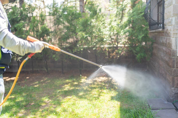 Best Mosquito Control Services  in Hanford, CA