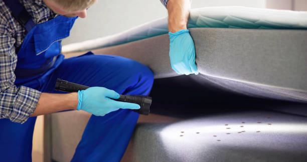 Best Pest Control Near Me  in Hanford, CA