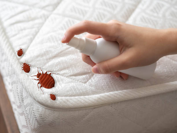  Hanford, CA Pest Control Pros