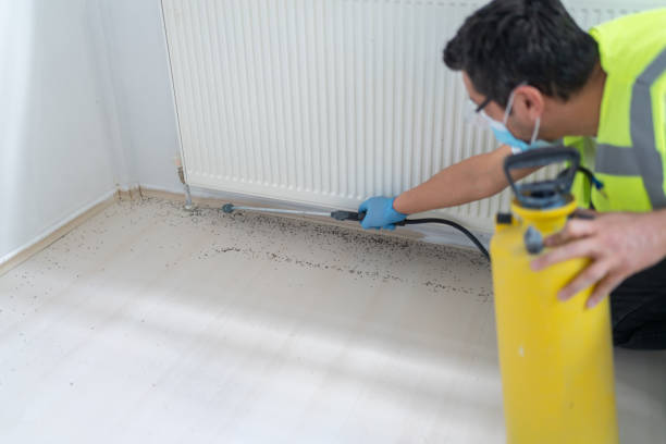 Best Pest Prevention Services  in Hanford, CA